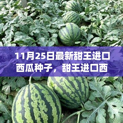 最新甜王進口西瓜種子，感受成長之甜與變化之力