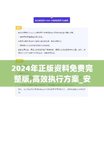 2024年正版資料免費完整版,高效執(zhí)行方案_安靜版BIG13.24
