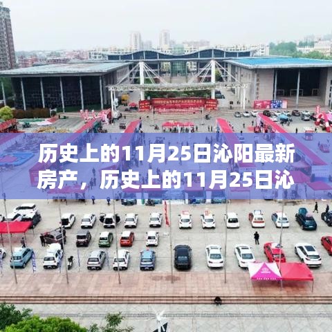 歷史上的11月25日沁陽房產(chǎn)深度評(píng)測(cè)與最新介紹