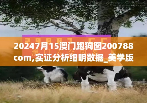 20247月15澳門跑狗圖200788com,實證分析細(xì)明數(shù)據(jù)_美學(xué)版KCH13.73
