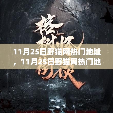 揭秘野貓網(wǎng)熱門地址背后的故事，背景、事件、影響與時代地位解析