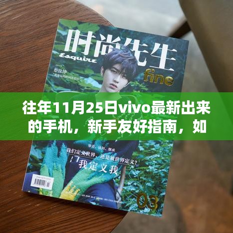 新手友好指南如何獲取并體驗(yàn)vivo最新手機(jī)，以往年11月25日機(jī)型為例