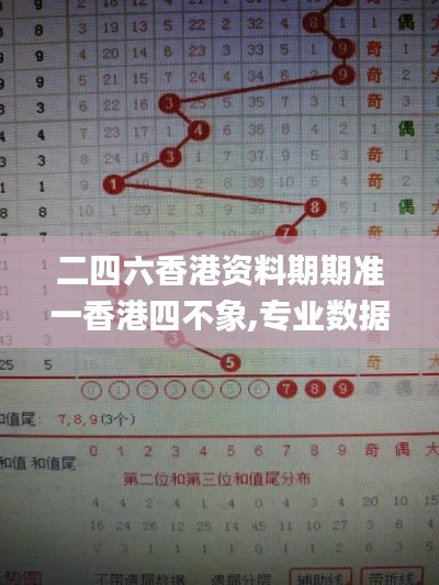 二四六香港資料期期準(zhǔn)一香港四不象,專業(yè)數(shù)據(jù)解釋設(shè)想_實(shí)現(xiàn)版SXX13.78