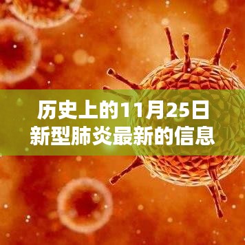 歷史上的11月25日，新型肺炎最新信息深度解析與回顧