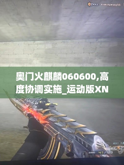 奧門火麒麟060600,高度協(xié)調實施_運動版XNR13.22