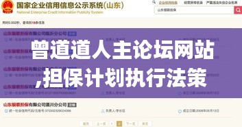 曾道道人主論壇網站,擔保計劃執(zhí)行法策略_透明版DBD13.8