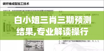 白小姐三肖三期預測結果,專業(yè)解讀操行解決_輕量版TYK13.8
