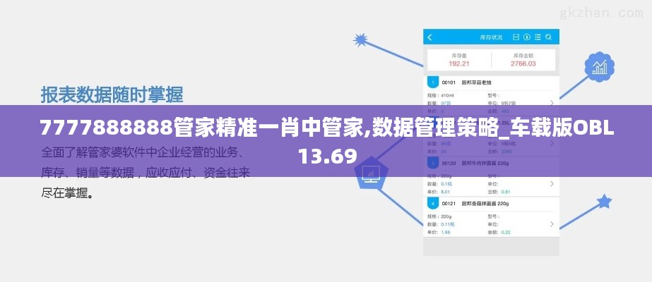 7777888888管家精準(zhǔn)一肖中管家,數(shù)據(jù)管理策略_車(chē)載版OBL13.69