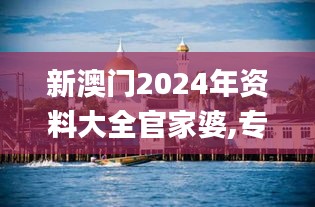 新澳門2024年資料大全官家婆,專業(yè)數據解釋設想_奢華版DXV13.26