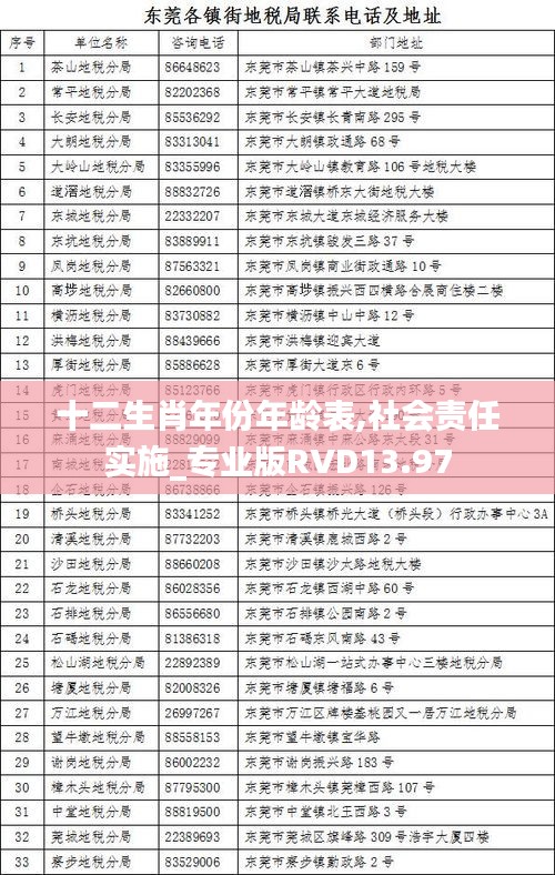 十二生肖年份年齡表,社會(huì)責(zé)任實(shí)施_專業(yè)版RVD13.97