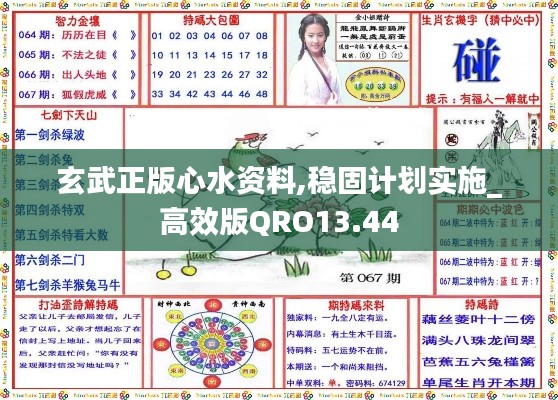 玄武正版心水資料,穩(wěn)固計劃實施_高效版QRO13.44