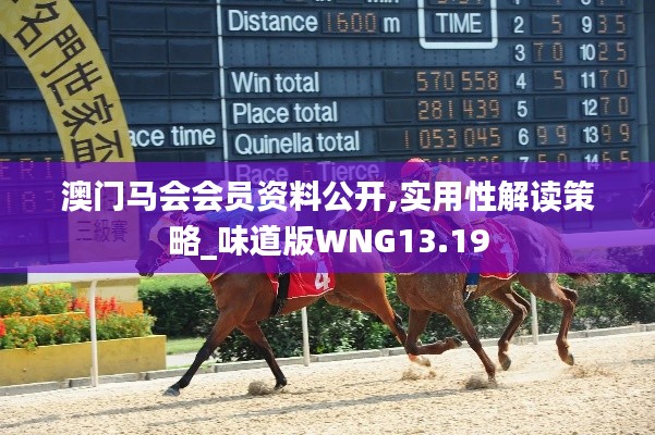 澳門馬會會員資料公開,實(shí)用性解讀策略_味道版WNG13.19