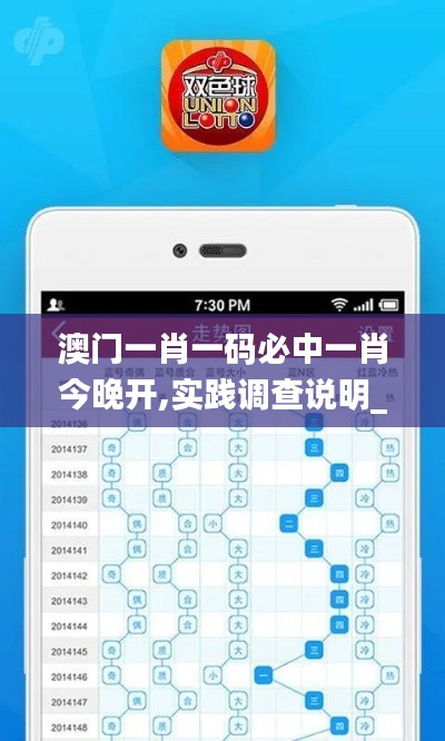 澳門一肖一碼必中一肖今晚開,實(shí)踐調(diào)查說明_權(quán)限版ABM13.77