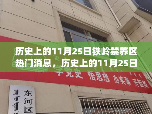 歷史上的11月25日鐵嶺禁養(yǎng)區(qū)事件回顧與最新消息速遞