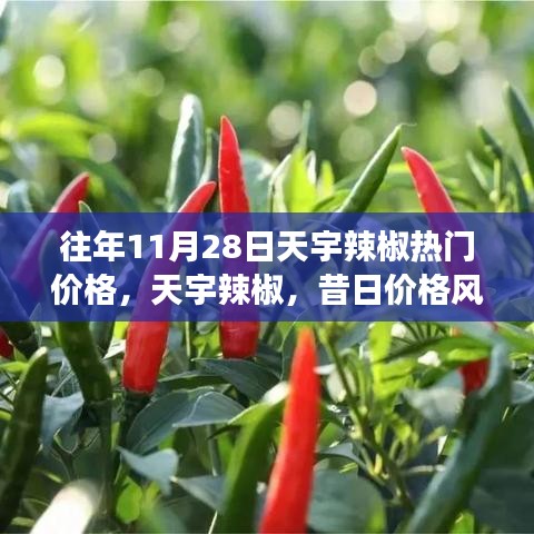 天宇辣椒熱門價格揭秘，昔日價格風(fēng)云回顧與影響分析