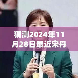宋丹丹新劇預(yù)測(cè)指南，揭秘2024年11月28日最新電視劇猜測(cè)與期待！