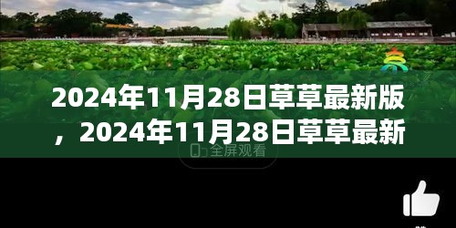 2024年11月28日草草最新版產(chǎn)品評(píng)測(cè)與詳細(xì)介紹