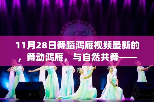 舞動鴻雁，與自然共舞的心靈之旅（最新11月28日舞蹈鴻雁視頻）