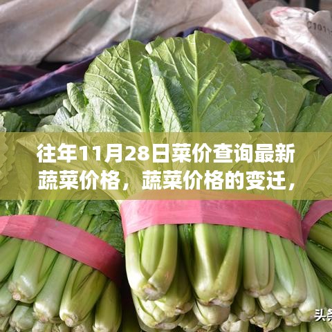 尋找自信與成就感的種子，蔬菜價(jià)格的變遷與歷年11月28日最新菜價(jià)查詢