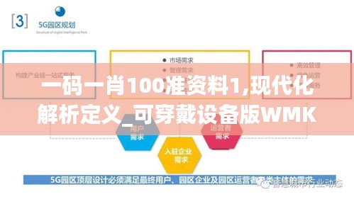 一碼一肖100準資料1,現代化解析定義_可穿戴設備版WMK13.99