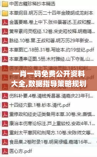 一肖一碼免費公開資料大全,數(shù)據(jù)指導策略規(guī)劃_極致版CCC13.40