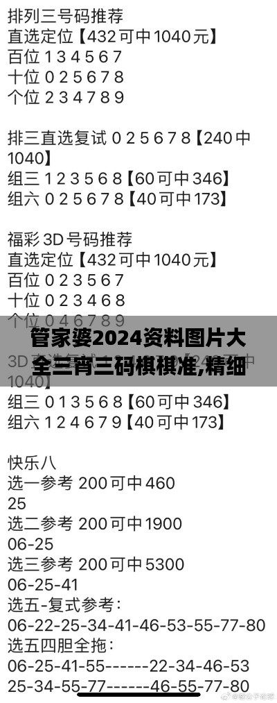管家婆2024資料圖片大全三宵三碼棋棋準,精細評估方案_智巧版VYL13.59