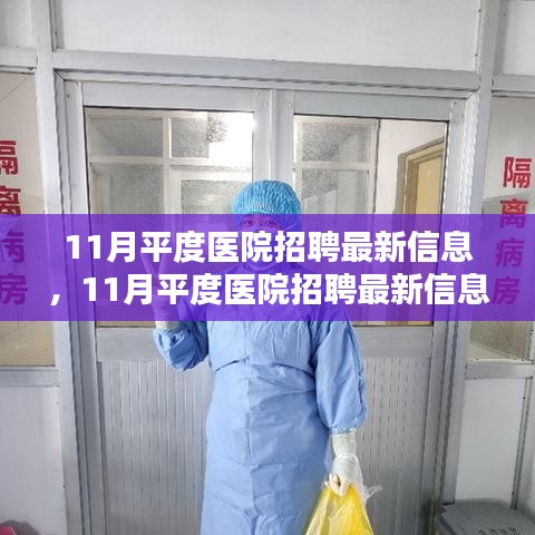 11月平度醫(yī)院招聘最新信息詳解與全面評測