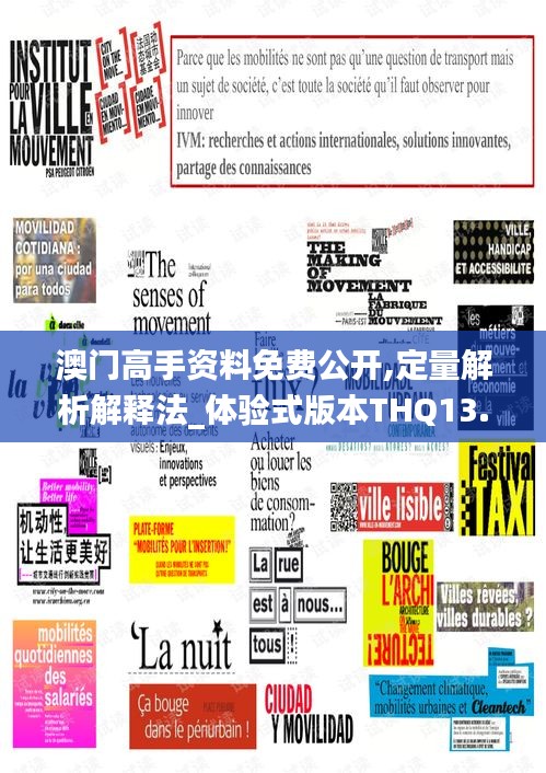 澳門高手資料免費(fèi)公開,定量解析解釋法_體驗(yàn)式版本THQ13.28