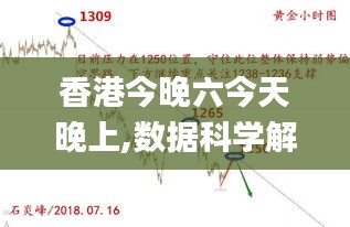 香港今晚六今天晚上,數(shù)據(jù)科學解析說明_見證版IBR13.37