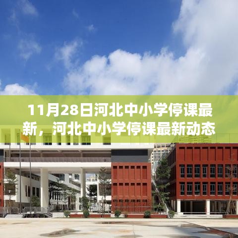 河北中小學(xué)停課最新動態(tài)，11月28日的深刻印記