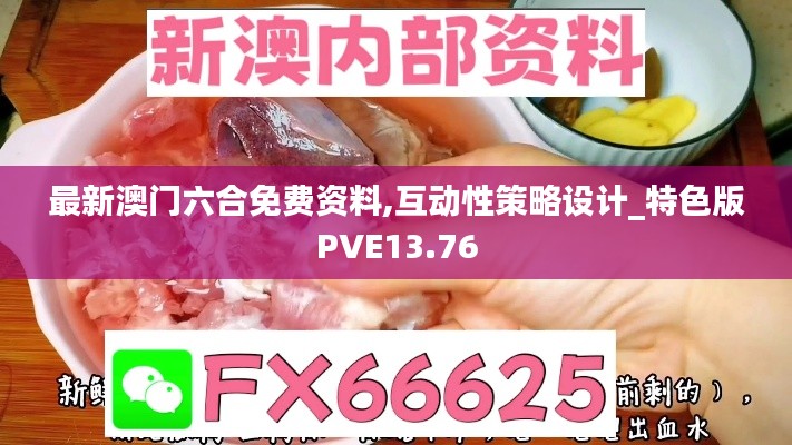 最新澳門六合免費(fèi)資料,互動性策略設(shè)計_特色版PVE13.76