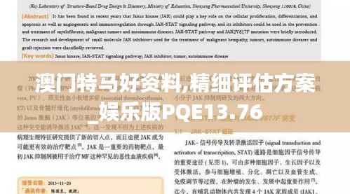 澳門特馬好資料,精細(xì)評估方案_娛樂版PQE13.76