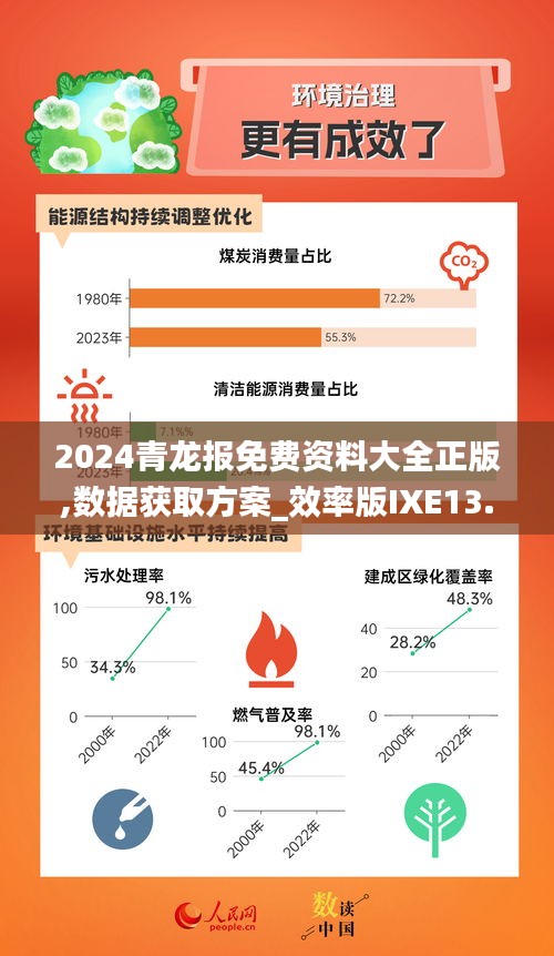 2024青龍報免費資料大全正版,數(shù)據(jù)獲取方案_效率版IXE13.16