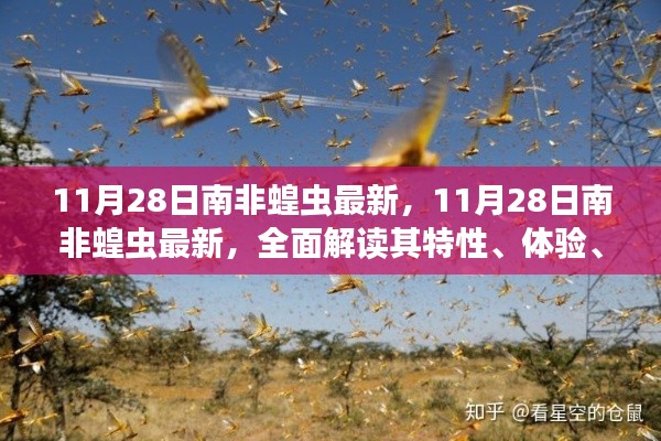 11月28日南非蝗蟲最新動態(tài)，全面解析特性、體驗、競品對比及用戶群體分析