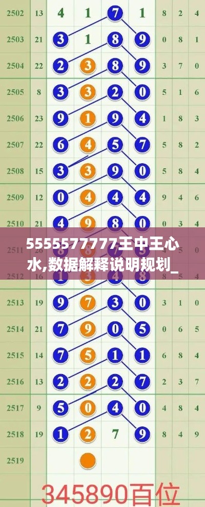 5555577777王中王心水,數(shù)據(jù)解釋說(shuō)明規(guī)劃_月光版ZUG13.46