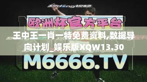 王中王一肖一特免費(fèi)資料,數(shù)據(jù)導(dǎo)向計劃_娛樂版XQW13.30