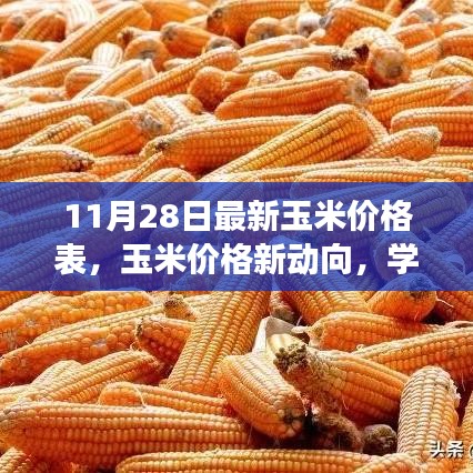 最新玉米價(jià)格動(dòng)態(tài)，學(xué)習(xí)變化的力量，自信成就夢想