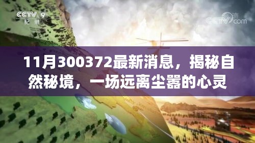 揭秘自然秘境，啟程一場遠(yuǎn)離塵囂的心靈之旅的最新消息