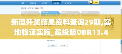 新澳開獎結果資料查詢29期,實地驗證實施_超級版OBR13.46