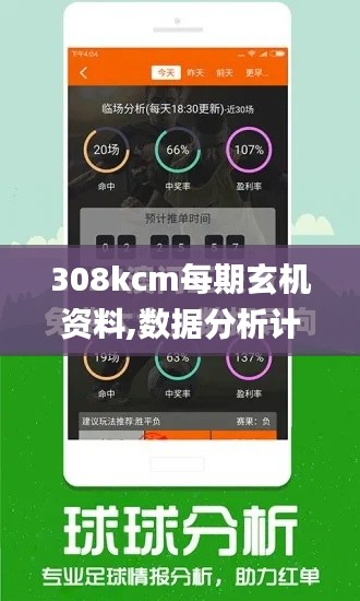 308kcm每期玄機資料,數(shù)據(jù)分析計劃_明亮版YNL13.87