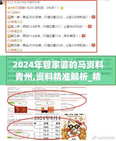 2024年管家婆的馬資料青州,資料精準解析_精密版JAI13.64