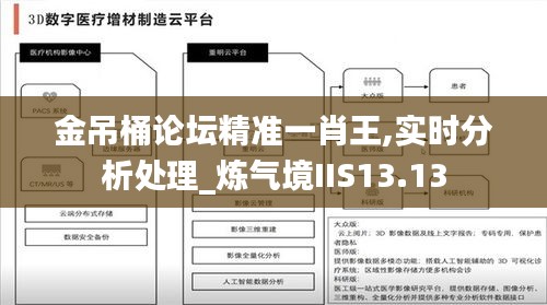 金吊桶論壇精準一肖王,實時分析處理_煉氣境IIS13.13