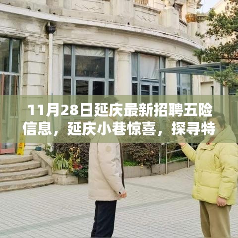 11月28日延慶最新招聘信息與特色小店探尋，五險信息大解密