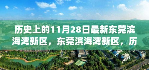 東莞濱海灣新區(qū)，歷史與未來的交匯點，探尋小巷獨特風味當日記實
