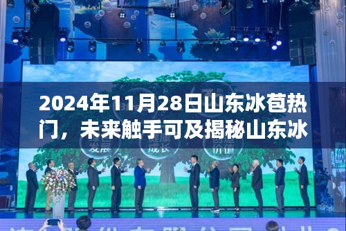 揭秘山東冰苞熱門(mén)高科技產(chǎn)品，科技之光照亮生活新篇章（2024年展望）