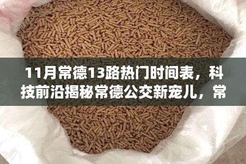 常德公交新寵兒揭秘，智能出行時(shí)代下的常德公交13路時(shí)刻表與智慧出行體驗(yàn)