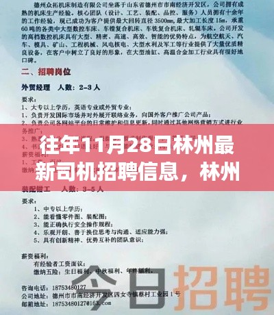 林州最新司機(jī)招聘動(dòng)態(tài)，行業(yè)趨勢深度解讀與多方觀點(diǎn)匯集