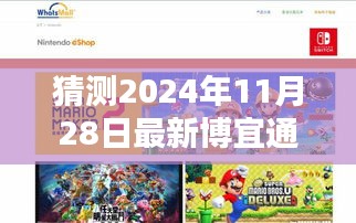 博宜通的奇妙時光，2024年11月28日的溫馨日常