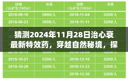 探尋未來奇跡，穿越自然秘境，揭秘心衰特效藥的心靈之旅（預計于2024年11月揭曉）