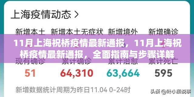 上海祝橋疫情最新通報，全面指南與詳細(xì)步驟解讀（11月版）